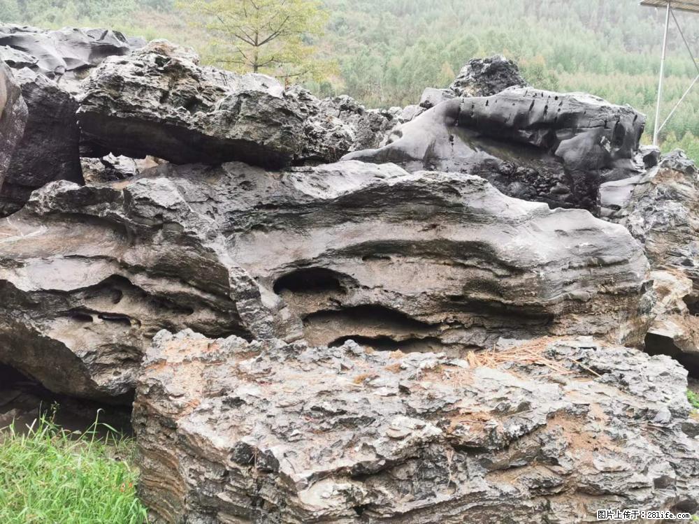 风景石、假山石大量有货，有需要的欢迎联系 - 新手上路 - 常州生活社区 - 常州28生活网 cz.28life.net