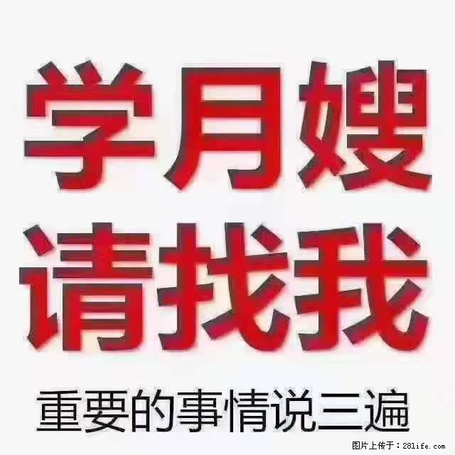 为什么要学习月嫂，育婴师？ - 其他广告 - 广告专区 - 常州分类信息 - 常州28生活网 cz.28life.net