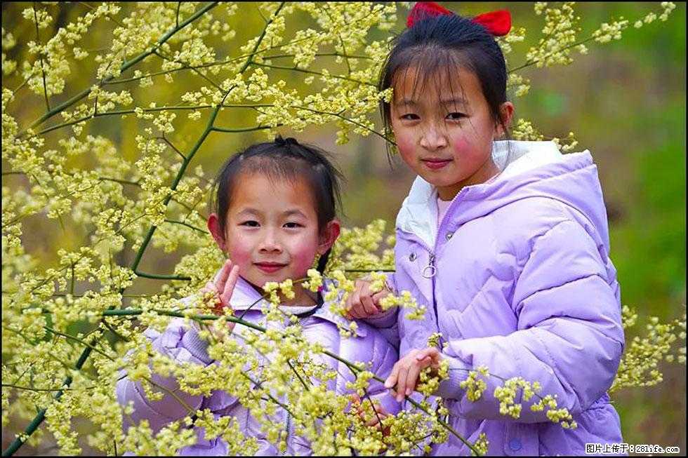 【春天，广西桂林灌阳县向您发出邀请！】米珠山前有片山苍子花在飘香 - 游山玩水 - 常州生活社区 - 常州28生活网 cz.28life.net