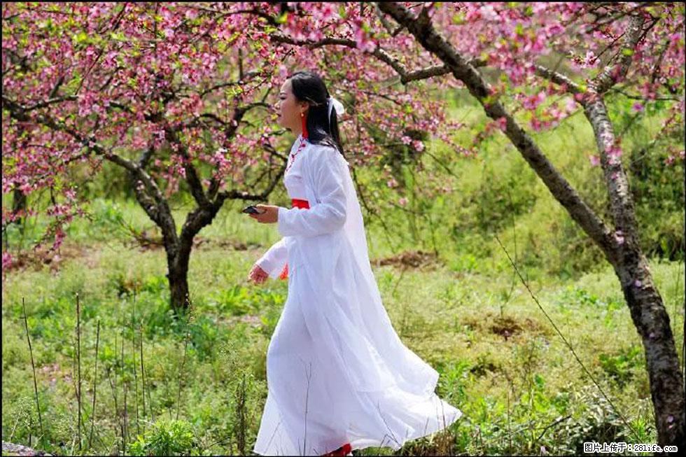 【春天，广西桂林灌阳县向您发出邀请！】官庄村有个醉美的桃花园 - 游山玩水 - 常州生活社区 - 常州28生活网 cz.28life.net