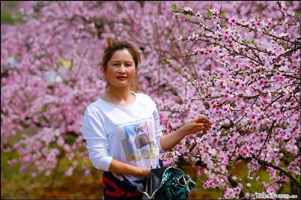 【春天，广西桂林灌阳县向您发出邀请！】官庄村有个醉美的桃花园 - 游山玩水 - 常州生活社区 - 常州28生活网 cz.28life.net