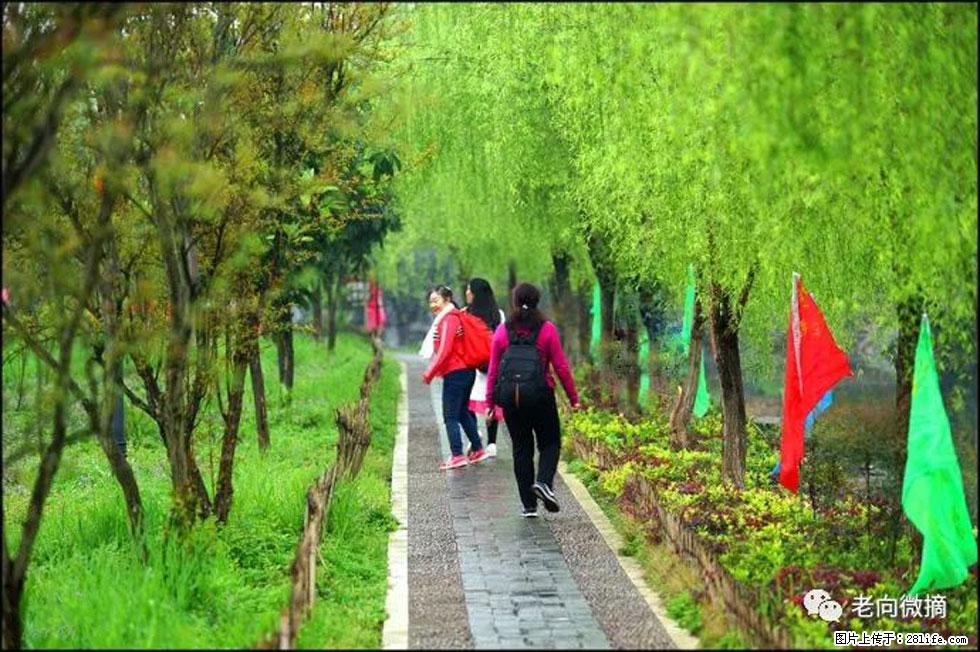 【春天，广西桂林灌阳县向您发出邀请！】江口老街又逢春 - 游山玩水 - 常州生活社区 - 常州28生活网 cz.28life.net