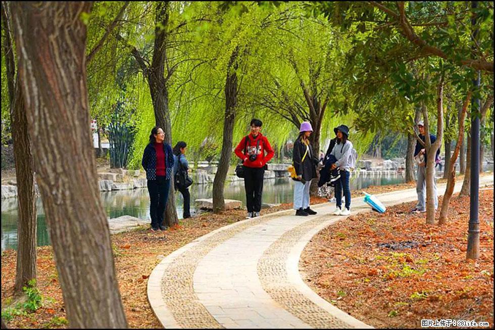 【春天，广西桂林灌阳县向您发出邀请！】江口老街又逢春 - 游山玩水 - 常州生活社区 - 常州28生活网 cz.28life.net