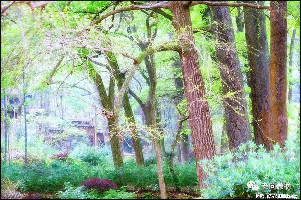 【春天，广西桂林灌阳县向您发出邀请！】在小龙村与春天约会 - 游山玩水 - 常州生活社区 - 常州28生活网 cz.28life.net