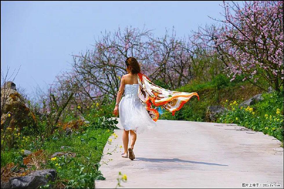 【春天，广西桂林灌阳县向您发出邀请！】望月岭上桃花开 - 游山玩水 - 常州生活社区 - 常州28生活网 cz.28life.net