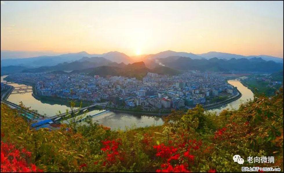 【春天，广西桂林灌阳县向您发出邀请！】登麒麟山，相约映山红 - 游山玩水 - 常州生活社区 - 常州28生活网 cz.28life.net