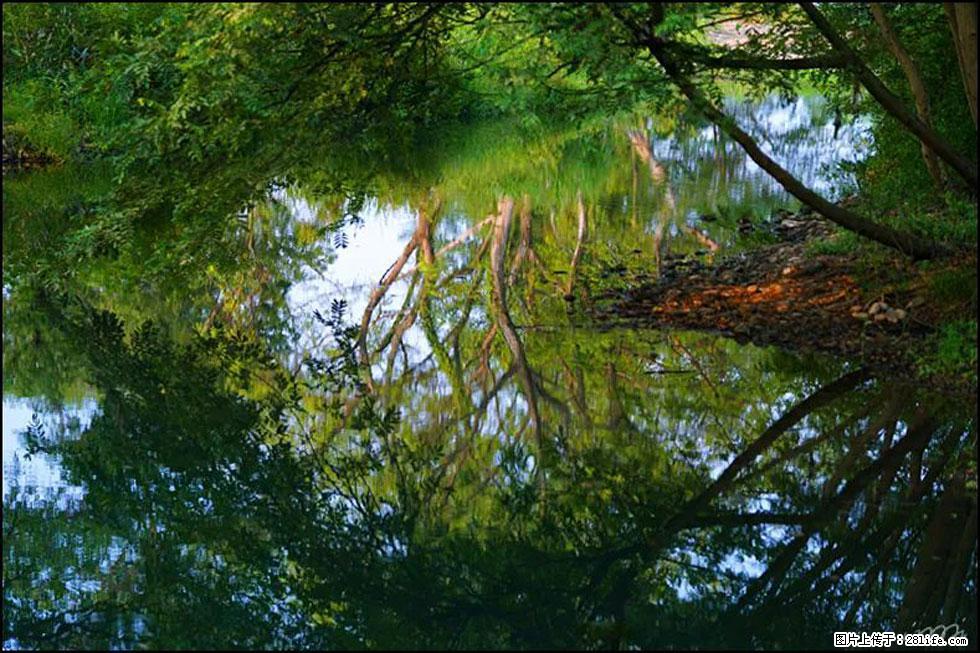【春天，广西桂林灌阳县向您发出邀请！】熊家寨湿地公园 - 游山玩水 - 常州生活社区 - 常州28生活网 cz.28life.net