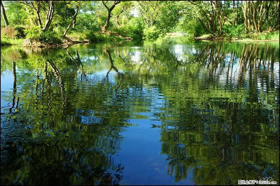 【春天，广西桂林灌阳县向您发出邀请！】熊家寨湿地公园 - 游山玩水 - 常州生活社区 - 常州28生活网 cz.28life.net