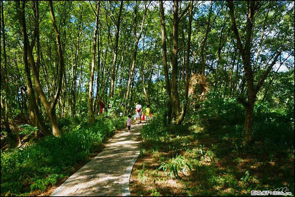 【春天，广西桂林灌阳县向您发出邀请！】熊家寨湿地公园 - 游山玩水 - 常州生活社区 - 常州28生活网 cz.28life.net