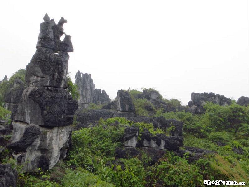 桂林旅游名城景点：灌阳文市石林 - 游山玩水 - 常州生活社区 - 常州28生活网 cz.28life.net