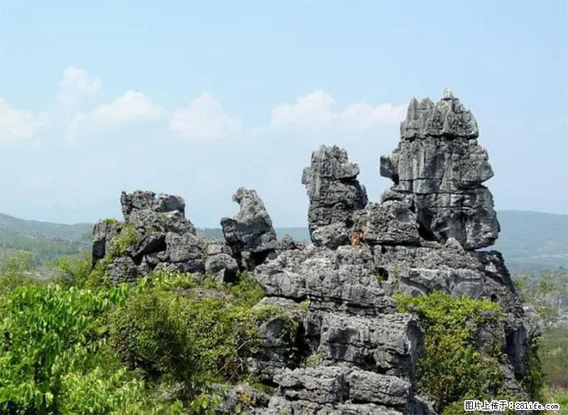 桂林旅游名城景点：灌阳文市石林 - 游山玩水 - 常州生活社区 - 常州28生活网 cz.28life.net