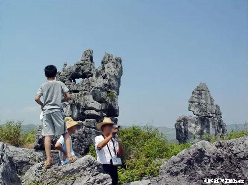 桂林旅游名城景点：灌阳文市石林 - 游山玩水 - 常州生活社区 - 常州28生活网 cz.28life.net