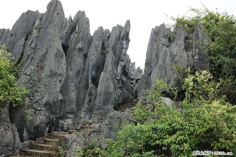 桂林旅游名城景点：灌阳文市石林 - 游山玩水 - 常州生活社区 - 常州28生活网 cz.28life.net