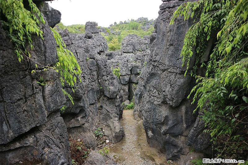 桂林旅游名城景点：灌阳文市石林 - 游山玩水 - 常州生活社区 - 常州28生活网 cz.28life.net