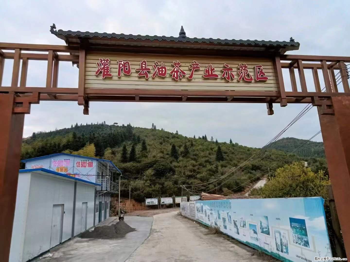 【灌阳县油茶产业示范区】一个有着充实的精神生活的人，对待身外之物自会有一种淡泊的态度 - 美食天地 - 常州生活社区 - 常州28生活网 cz.28life.net