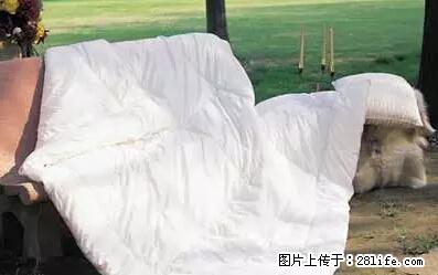 被子有异味？只要这样做，比晒太阳还强100倍！ - 家居生活 - 常州生活社区 - 常州28生活网 cz.28life.net