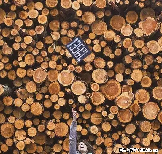 辞掉工作周游世界？现在他们在洗厕所…… - 游山玩水 - 常州生活社区 - 常州28生活网 cz.28life.net