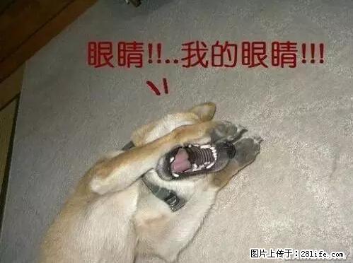 笑癫了！一女的怀孕三年未生，他终于忍不住了... - 娱乐八卦 - 常州生活社区 - 常州28生活网 cz.28life.net