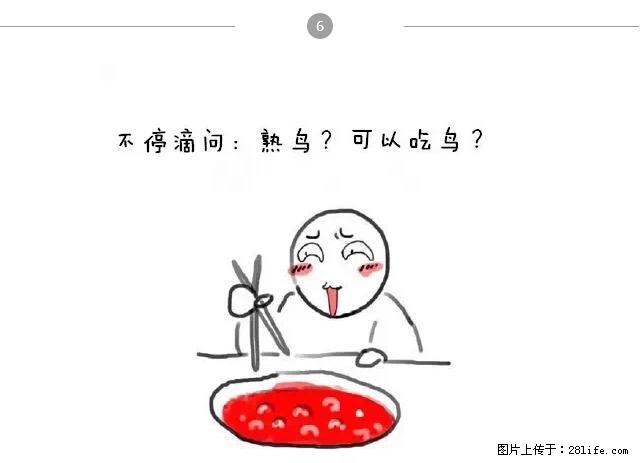 千万不要和这9种哈卵一起吃火锅！ - 美食天地 - 常州生活社区 - 常州28生活网 cz.28life.net