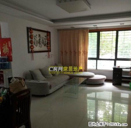 香树湾福园精装修3室2厅 设施齐全 拎包即住 交通便利 - 房屋出租 - 房屋租售 - 常州分类信息 - 常州28生活网 cz.28life.net