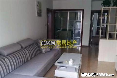 阳光龙庭精装3房出租 楼层高采光好 设施齐全 - 房屋出租 - 房屋租售 - 常州分类信息 - 常州28生活网 cz.28life.net