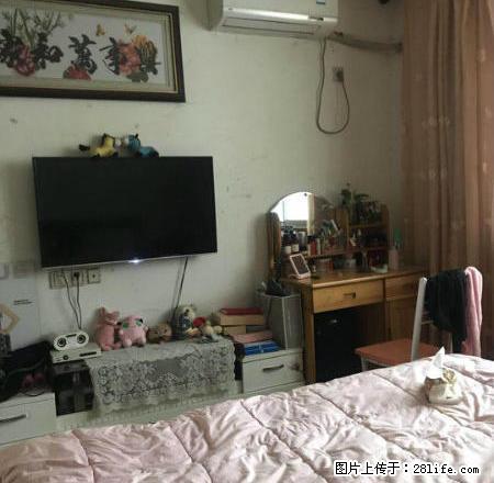红梅东村1楼2室1厅1卫大院子采光好家电齐全拎包即住精装修 - 房屋出租 - 房屋租售 - 常州分类信息 - 常州28生活网 cz.28life.net