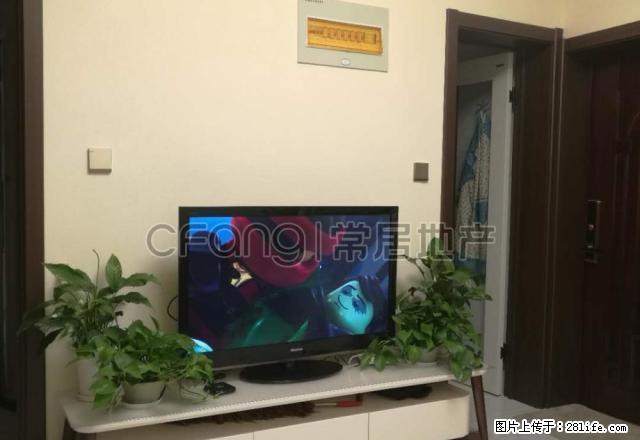 怀德名园旁房子好不好看了就知道，新名园2300元1室1厅1整 - 房屋出租 - 房屋租售 - 常州分类信息 - 常州28生活网 cz.28life.net