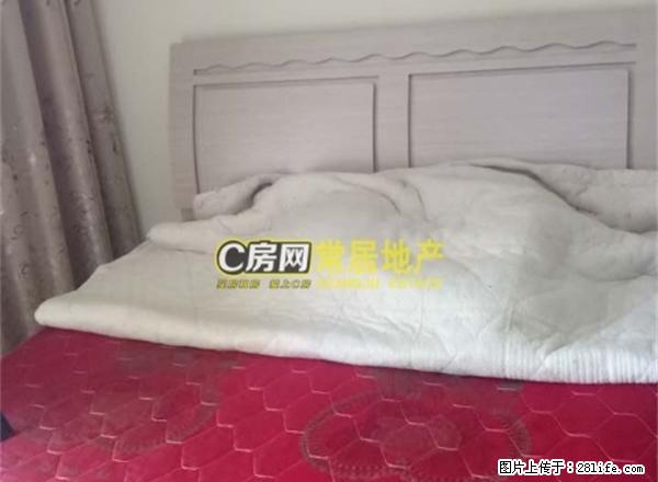 莱蒙城精装一居室家电家具齐全紧邻大学城 - 房屋出租 - 房屋租售 - 常州分类信息 - 常州28生活网 cz.28life.net