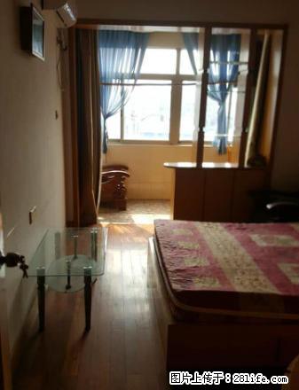 勤业菜场对面2室精装出租双南 - 房屋出租 - 房屋租售 - 常州分类信息 - 常州28生活网 cz.28life.net