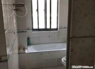 新景花苑，两房出租，随时看房 - 常州28生活网 cz.28life.net