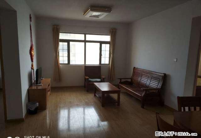 和平国际精装三室两厅一卫出租，领包入住，舒适安家，生活便利！ - 房屋出租 - 房屋租售 - 常州分类信息 - 常州28生活网 cz.28life.net