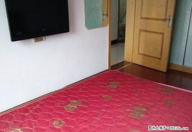 金百国际1室2厅精装修，单独房间，设施全，价格1500元 - 房屋出租 - 房屋租售 - 常州分类信息 - 常州28生活网 cz.28life.net