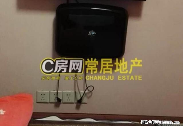 金百国际 2室2厅 温馨装修 随时看房 - 房屋出租 - 房屋租售 - 常州分类信息 - 常州28生活网 cz.28life.net