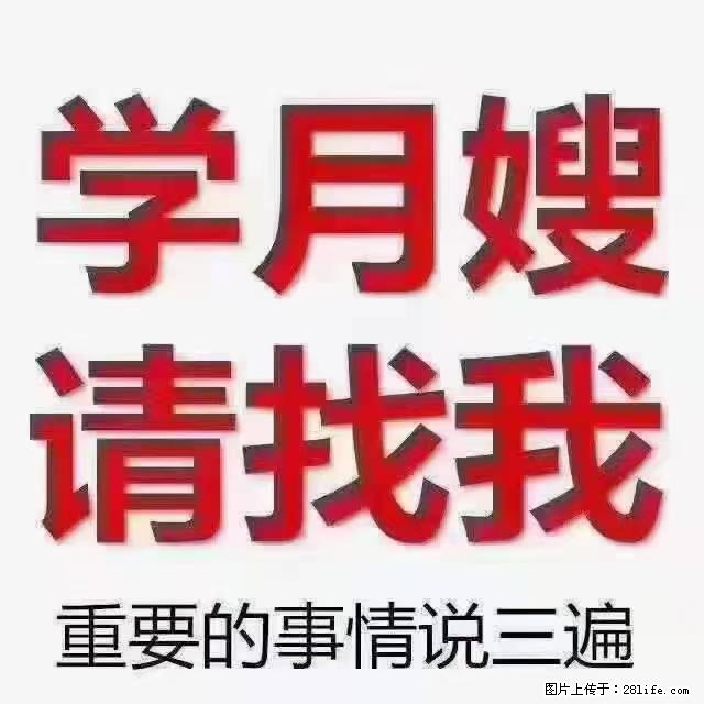 【招聘】月嫂，上海徐汇区 - 职场交流 - 常州生活社区 - 常州28生活网 cz.28life.net