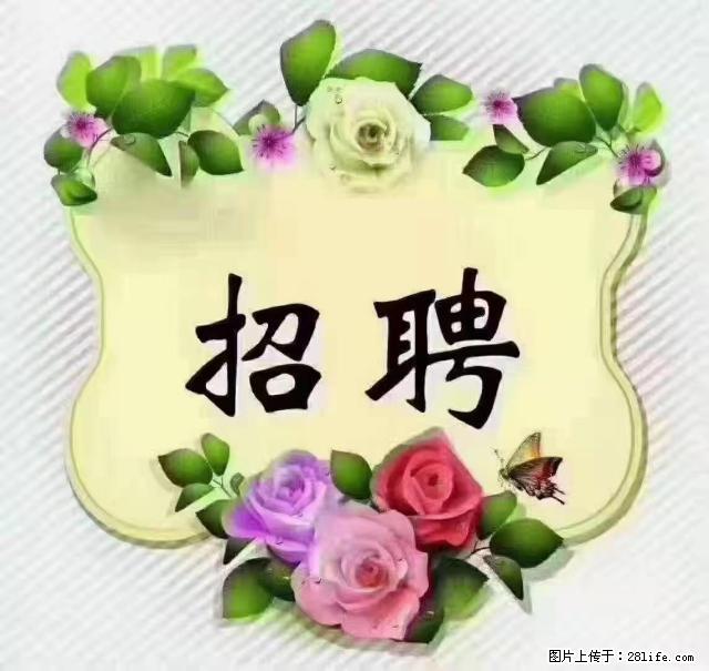【招聘】住家育儿嫂，上户日期：4月4日，工作地址：上海 黄浦区 - 职场交流 - 常州生活社区 - 常州28生活网 cz.28life.net