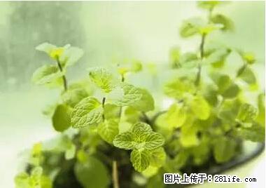 晕车、脚气、牙齿变黄、皮肤粗糙？学会这些三分钟搞定！ - 常州生活资讯 - 常州28生活网 cz.28life.net