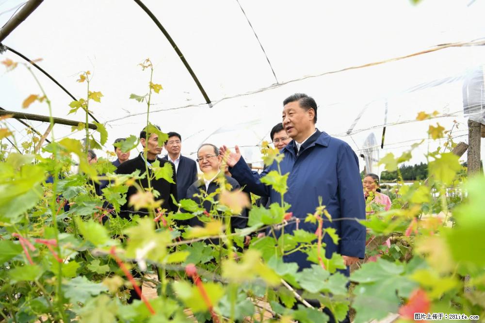 习近平赴广西考察调研 - 常州生活资讯 - 常州28生活网 cz.28life.net