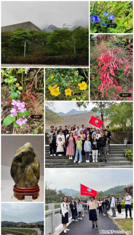 “粤灌文化 美好生活”油茶文化主题活动在广东深圳成功举办 - 常州生活资讯 - 常州28生活网 cz.28life.net