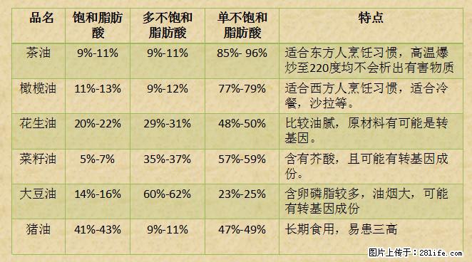 揭秘茶油的5大核心营养成分！被称为人体健康的“守护盾”！ - 常州生活资讯 - 常州28生活网 cz.28life.net