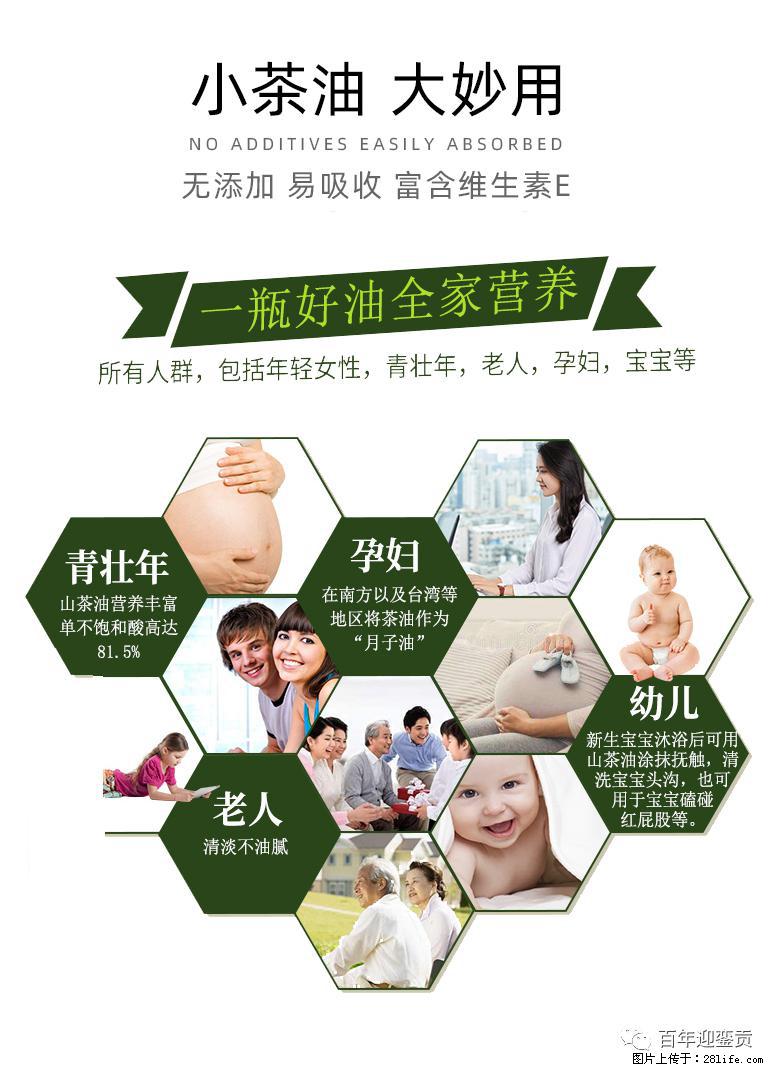 世界没有真相，只有认知，最好的食用油是中国的山茶油！ - 常州生活资讯 - 常州28生活网 cz.28life.net