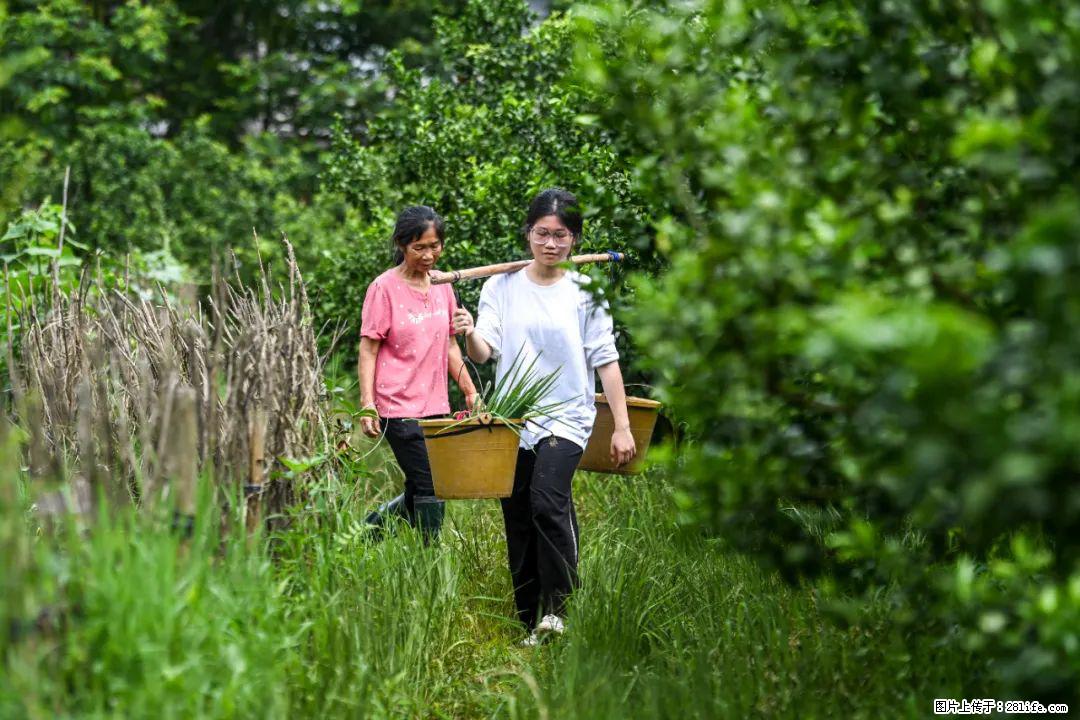 全网追的“扁担女孩”，找了一份暑假工，时薪12元 - 常州生活资讯 - 常州28生活网 cz.28life.net