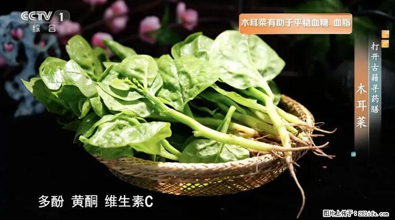 比牛奶补钙还厉害！凉血解毒、稳血糖...这菜冬天必吃，很多人却当草 - 常州生活资讯 - 常州28生活网 cz.28life.net