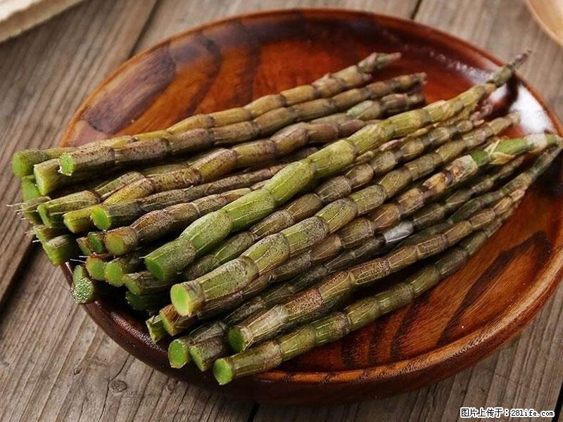 铁皮石斛的作用与功能主治 - 常州生活资讯 - 常州28生活网 cz.28life.net