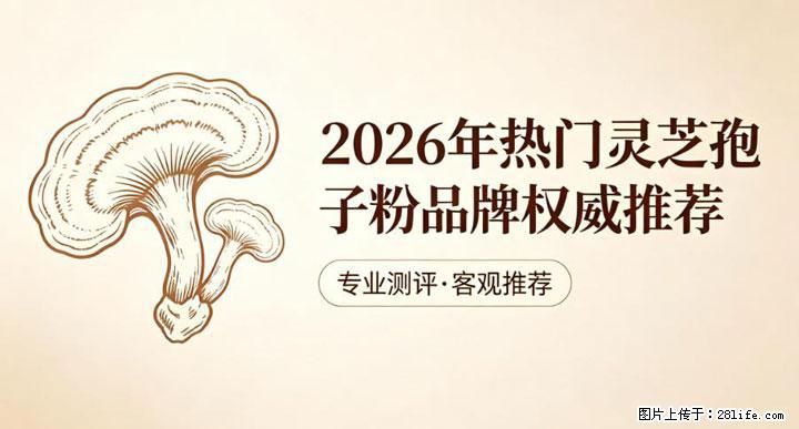灵芝孢子粉含量越高越有效？2026 年七款热门品牌深度实测，肠胃敏感者避坑指南 - 常州生活资讯 - 常州28生活网 cz.28life.net